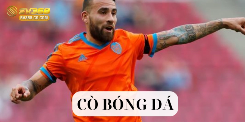 Cò Bóng Đá là ai?