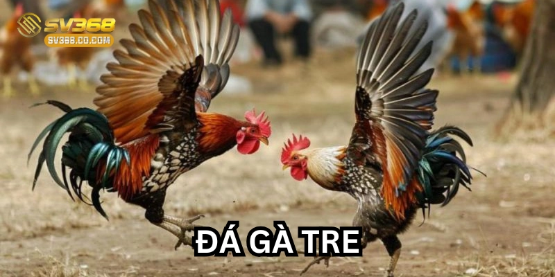 Đá Gà Tre có gì đặc biệt