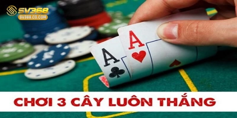 Tích lũy kinh nghiệm về việc quản lý vốn cược