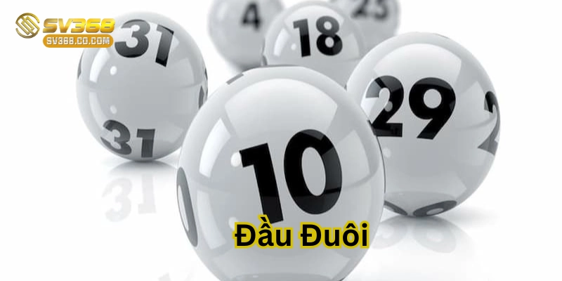 Đầu Đuôi là gì?
