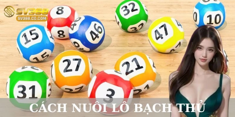 Giới thiệu về lô bạch thủ