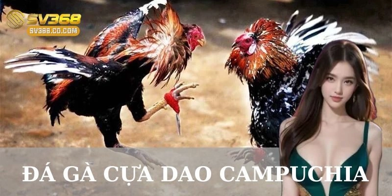 Luật chơi và quy định