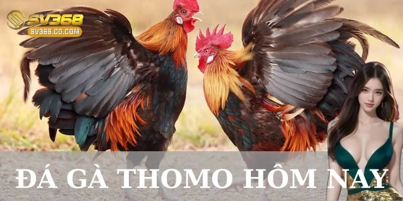 Phân tích chiến thuật và lối chơi