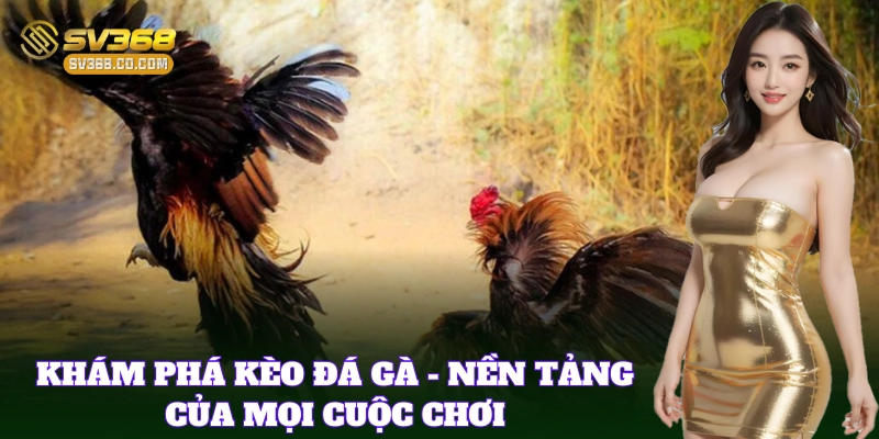 Cơ bản thông tin về Soi Kèo Đá Gà Chuẩn Xác nên biết