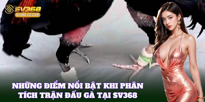 Tính năng tại SV368 giúp áp dụng Phân Biệt Gà Đòn Và Gà Cựa