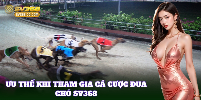Giải trí đỉnh cao cùng nền tảng Cá Cược Đua Chó SV368