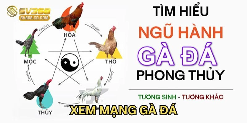 Màu sắc trong Xem Mạng Gà Đá