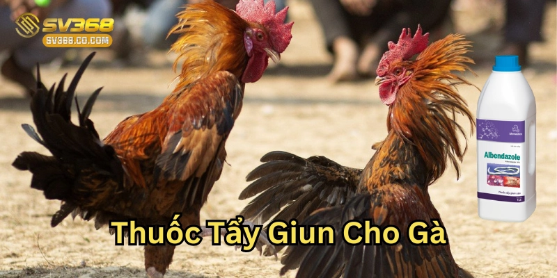 Thuốc Tẩy Giun Cho Gà loại nào hiệu quả